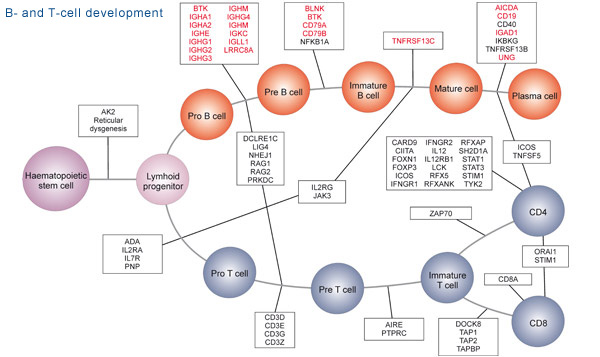 idbases_1_2010.jpg